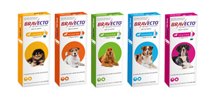 Bravecto Spot On For Dogs