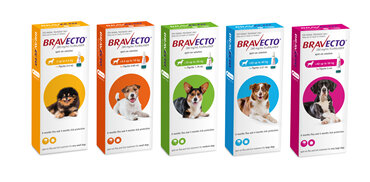 Bravecto spot-on for dogs