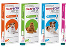 Bravecto spot-on for dogs - treats fleas and ticks