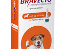 Bravecto spot-on for dogs - treats fleas and ticks