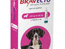 Bravecto spot-on for dogs - treats fleas and ticks