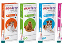 Bravecto spot-on for dogs - treats fleas and ticks