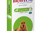 Bravecto spot-on for dogs - treats fleas and ticks