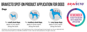 Bravecto spot-on for dogs - treats fleas and ticks