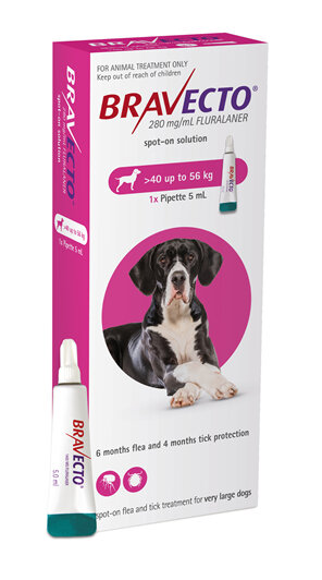 Bravecto spot-on for dogs - treats fleas and ticks