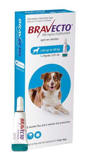 Bravecto spot-on for dogs - treats fleas and ticks