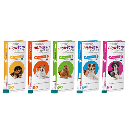 Bravecto spot-on for dogs - treats fleas and ticks