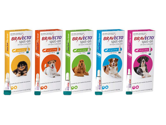 Bravecto spot-on for dogs - treats fleas and ticks