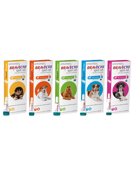 Bravecto spot-on for dogs - treats fleas and ticks