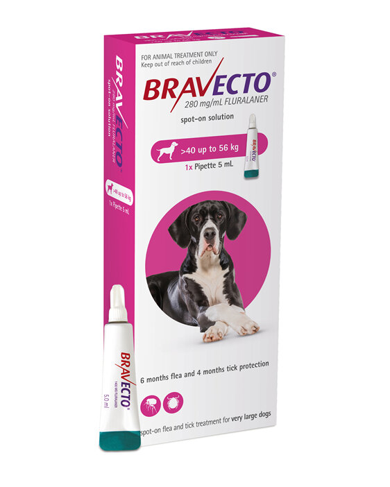 Bravecto spot-on for dogs - treats fleas and ticks