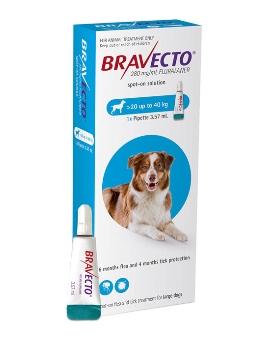 Bravecto spot-on for dogs - treats fleas and ticks