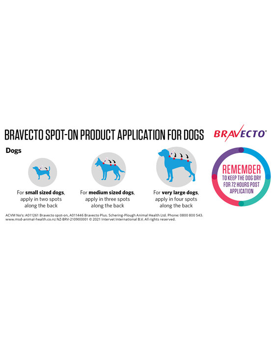 Bravecto spot-on for dogs - treats fleas and ticks