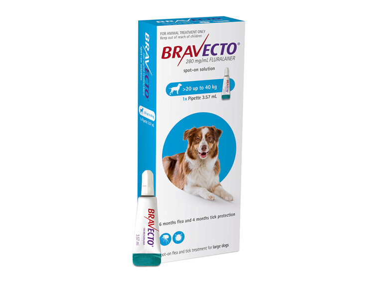 Bravecto spot-on for dogs - treats fleas and ticks