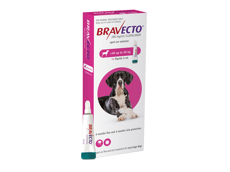 Bravecto spot-on for dogs - treats fleas and ticks