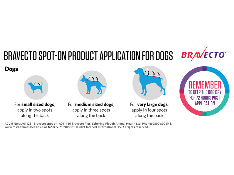 Bravecto spot-on for dogs - treats fleas and ticks