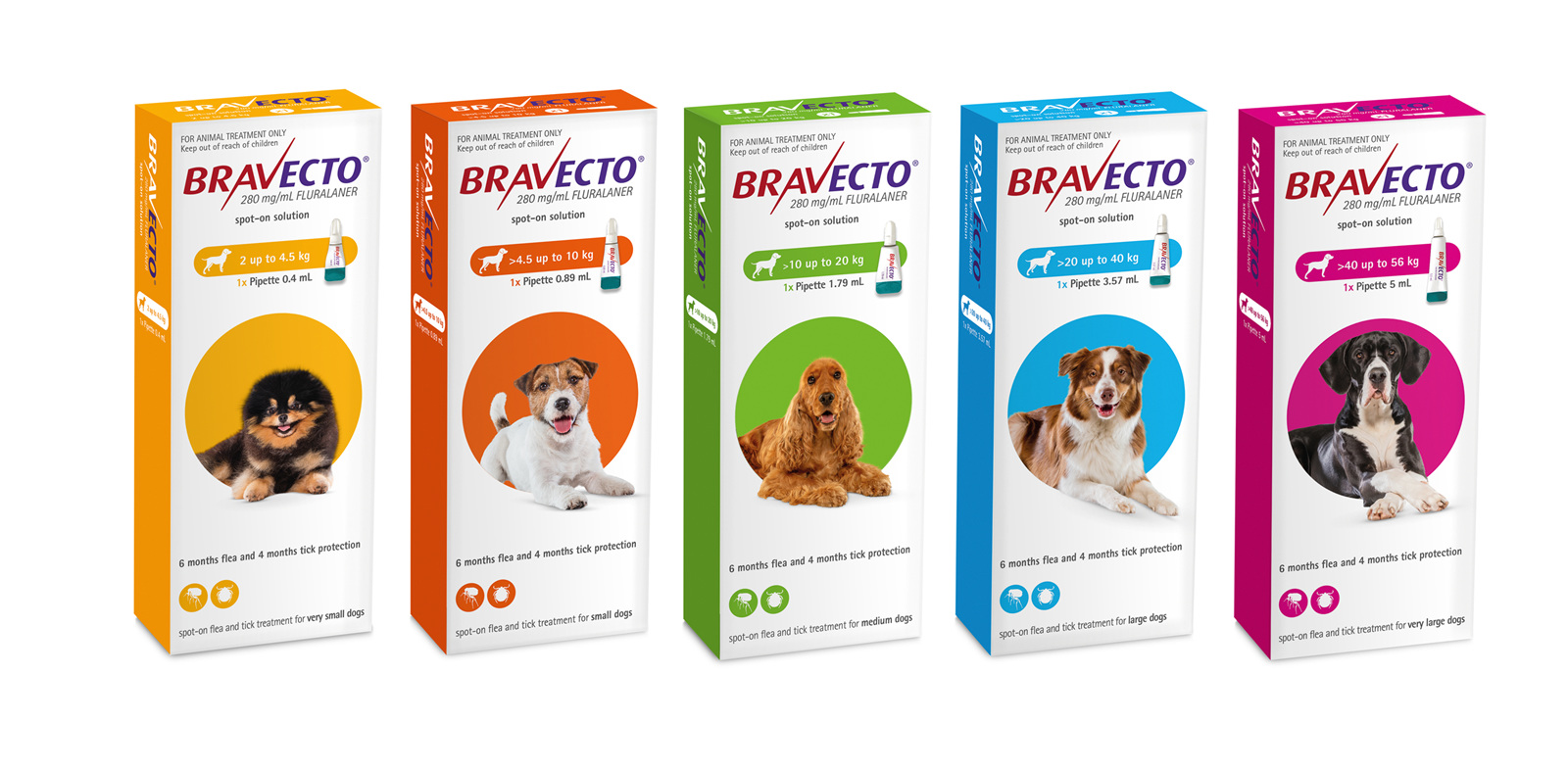 bravecto-spot-on-for-dogs-normanby-road-vet-clinic