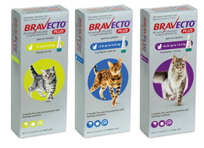 Bravecto Spot On PLUS for Cats