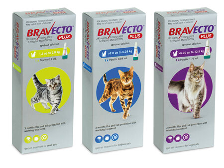 Bravecto Spot On PLUS for Cats