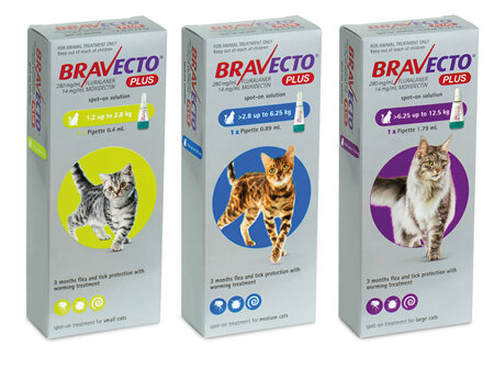 Bravecto Spot On PLUS for Cats