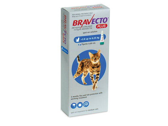 Bravecto Spot On PLUS for Cats