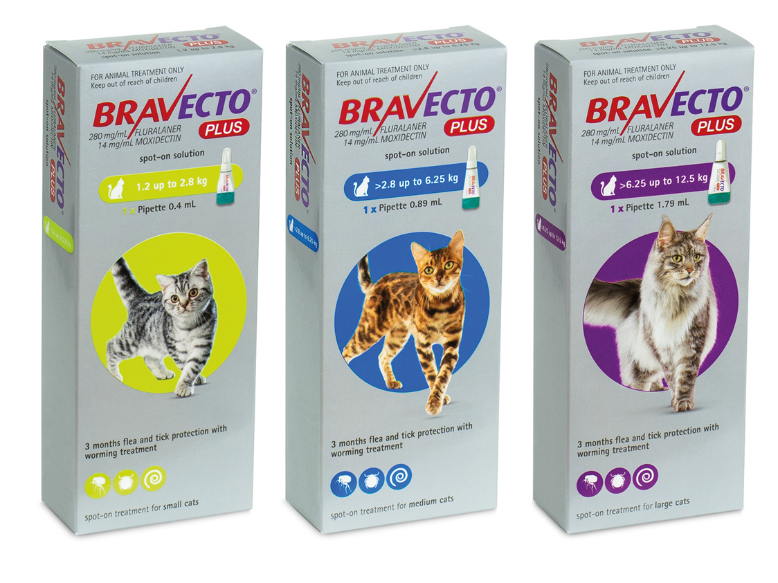 bravecto-spot-on-plus-for-cats-normanby-road-vet-clinic