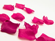 #bridal#wedding#petals#colours#romantic#sprinkle