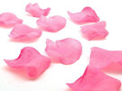 #bridal#wedding#petals#colours#romantic#sprinkle