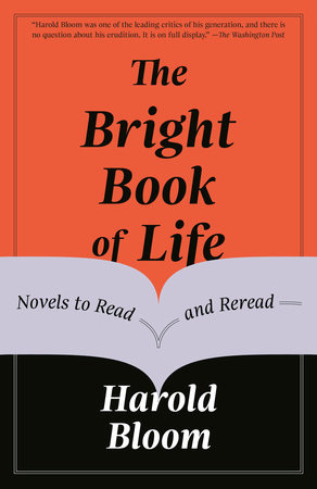 Bright Book of Life: Novels to Read and Reread