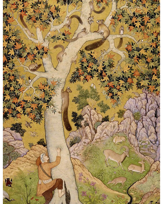 British Library card Abu'l Hasan Squirrels in a Plane Tree, ca. 1610 blank