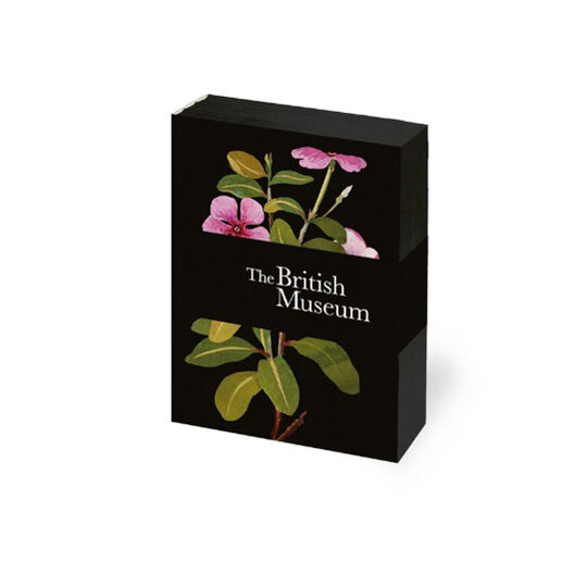British Museum Delany Flowers Set of 3 Mini Notebooks