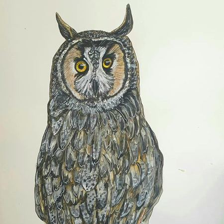 British Owl A5