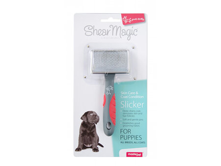 Brush S/Magic Slicker Puppy