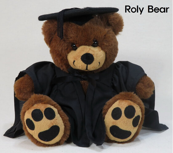 Building Science Roly Bear with Hood