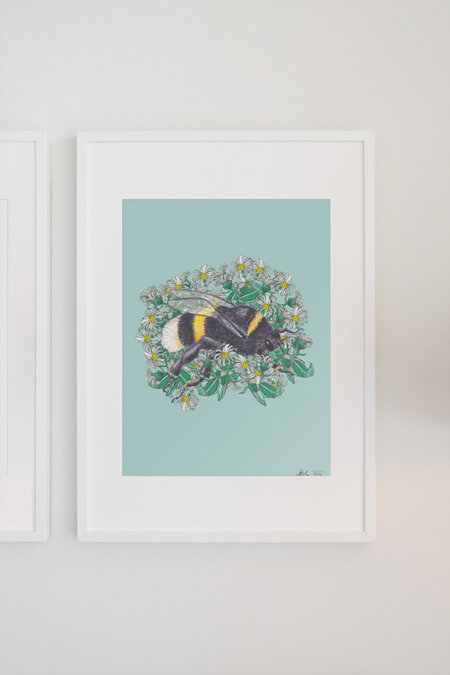 "Bumble Bee + Hector's Daisy" A4 print