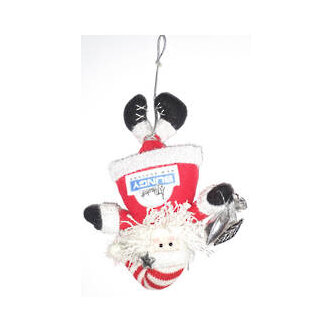 Bungy Santa - Kiwiana tree Decoration