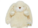 Bunnies By The Bay Nibble Bunny Tiny Sugar Cookie Small 18cm