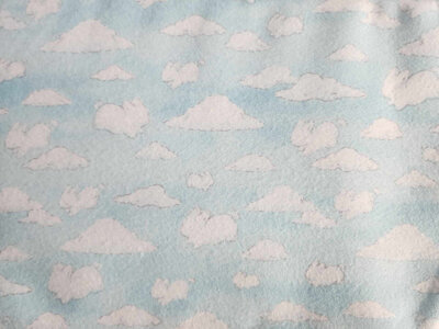 Bunny Sky - Flannel