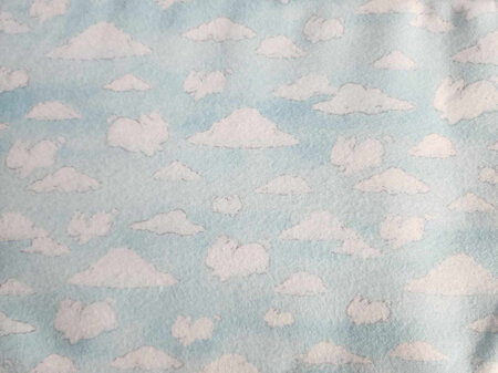 Bunny Sky - Flannel