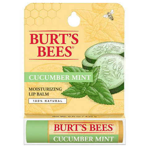 Burt's Bees Cucumber Mint Moisturising Lip Balm