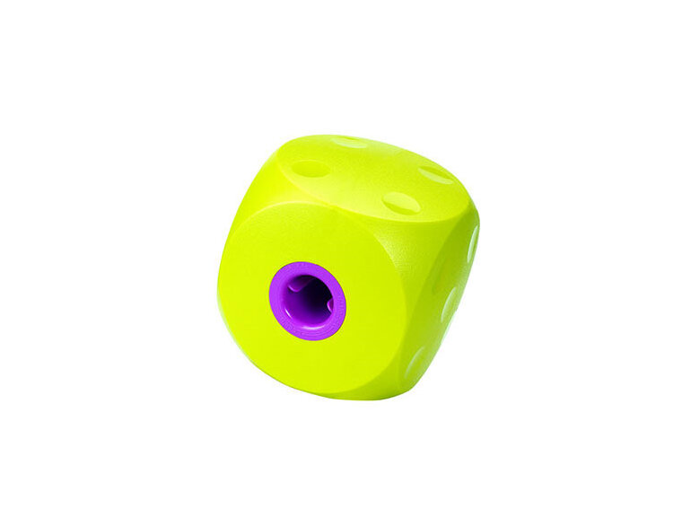 BUSTER Cube for Dogs