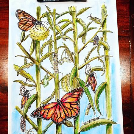 Butterfly Hunt Prints