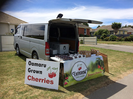 Buy cherries from our roadside stall - Oamaru, Evergrow Orchard