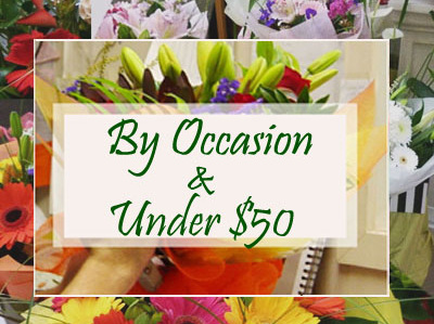 By Occasion & Under $50
