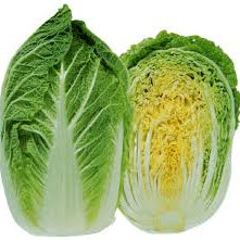 Cabbage Chinese Organic  Each