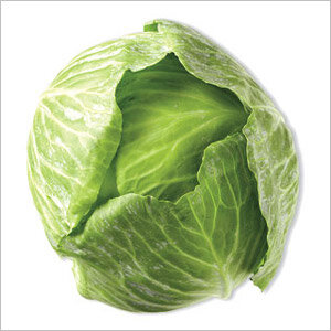 Cabbage Green Organic or Sprayfree
