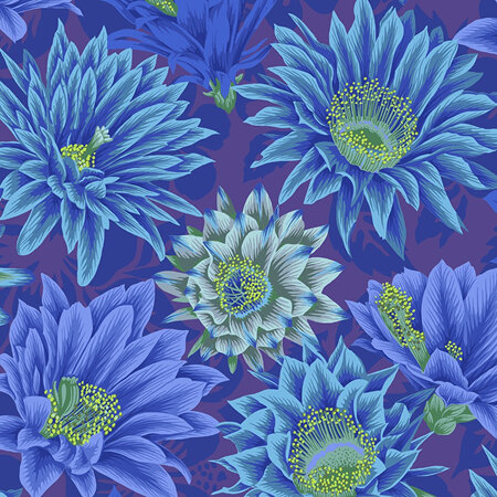 Cactus Flower Blue PWPJ096122