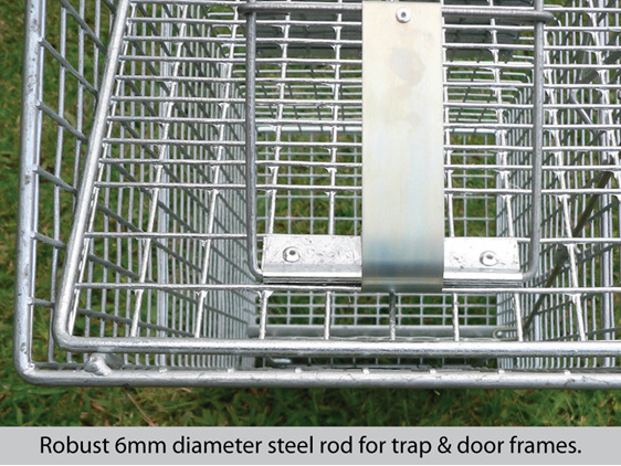 Professional Cat Trip Trap  TrapWorks
