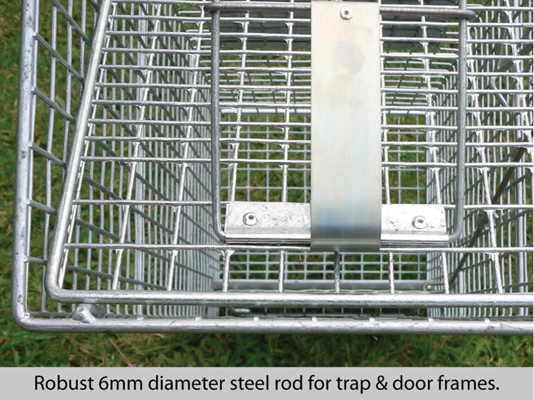 cage trap