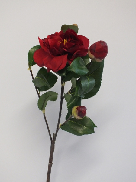 Camellia Branch with red flowers 1993