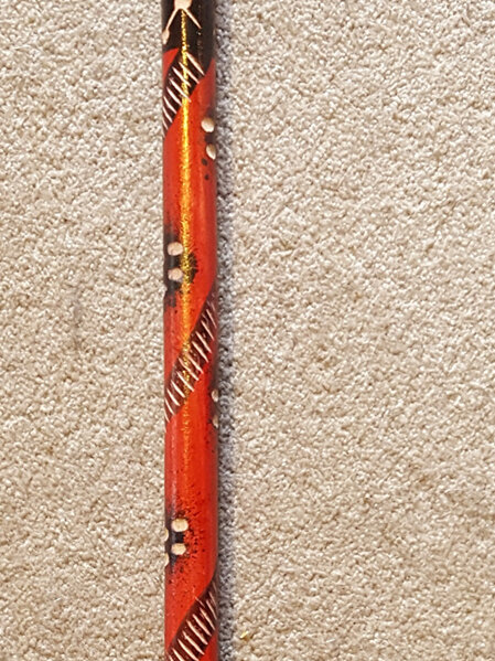 Cane 19 - Sheesham Wood Walking Stick with Coloured Finish